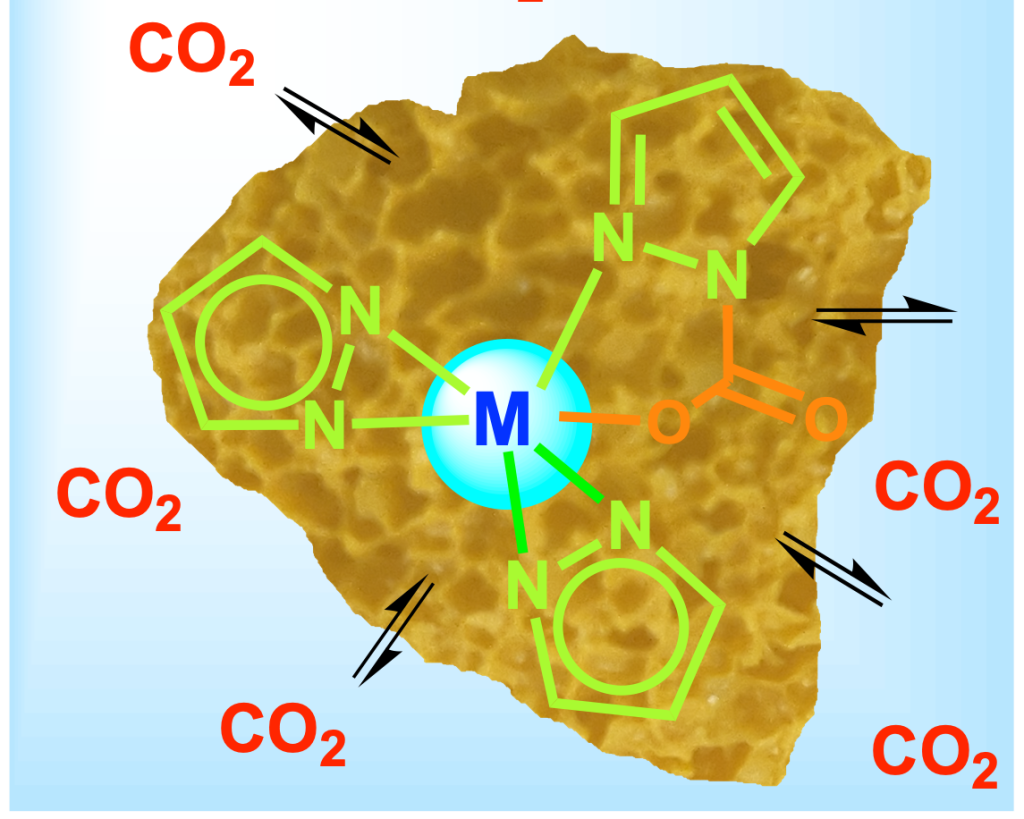 NACHKOMMEN: Nachhaltige Chemie mit CO2-insertierten Metallkomplexen und Materialien