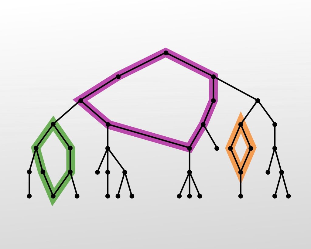 Topologische Datenanalyse in der Genomik: Mutationen des Coronavirus und darüber hinaus