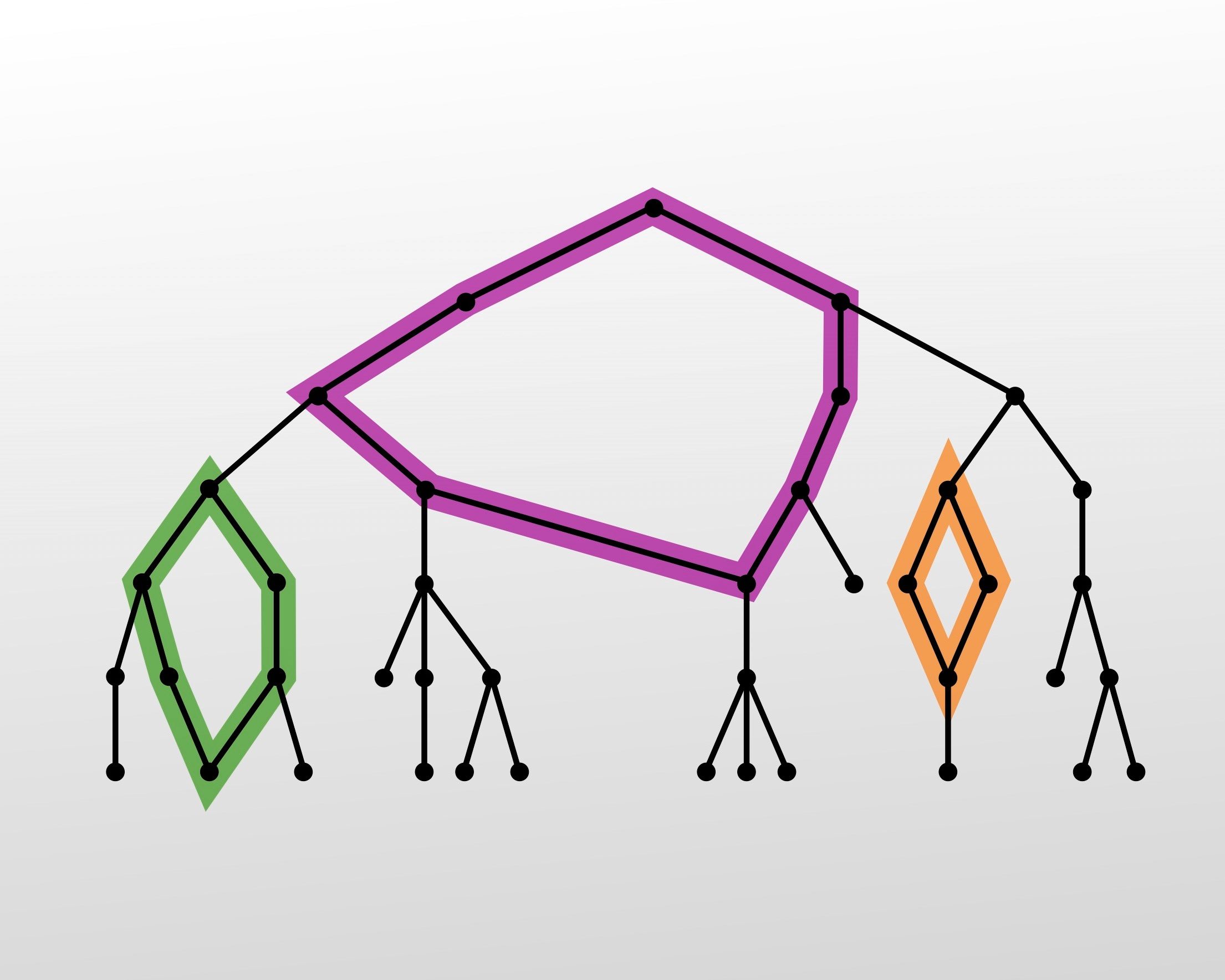 Topologische Datenanalyse in der Genomik: Mutationen des Coronavirus und darüber hinaus
