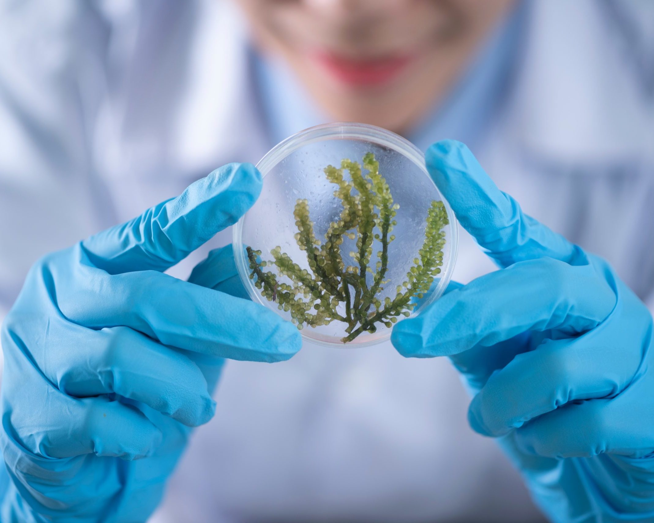 1 Mio. Euro für exzellenten Forschungsnachwuchs