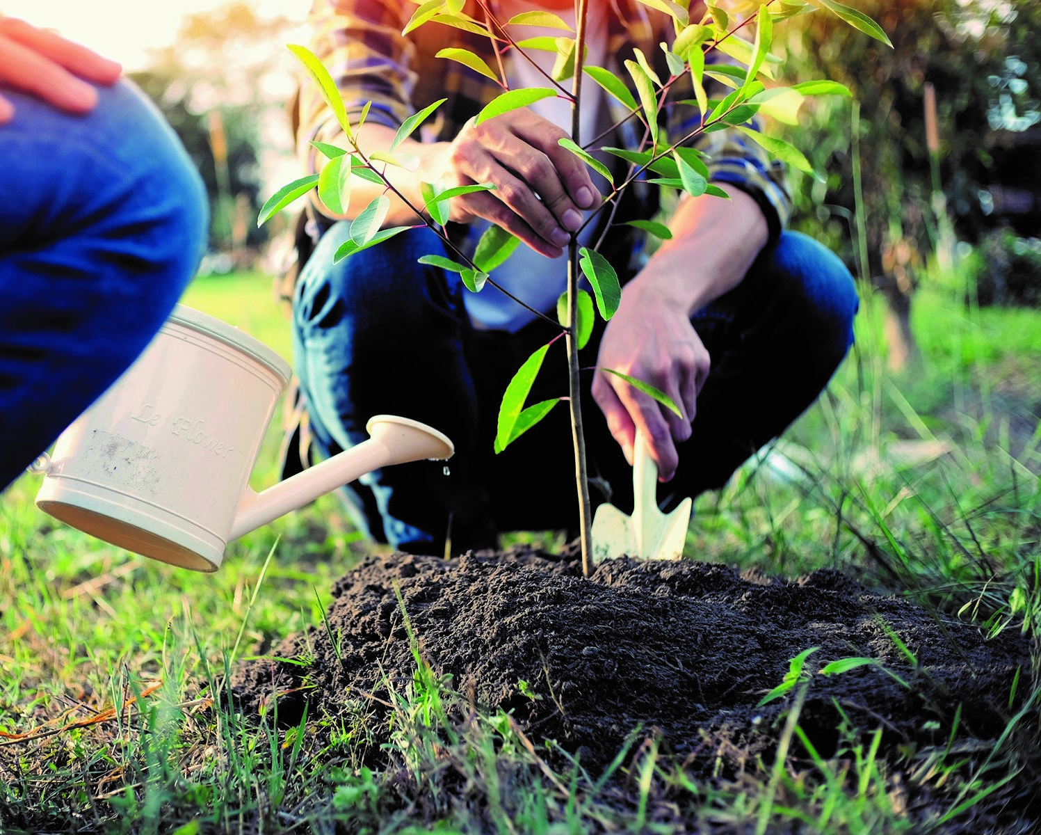 Beratung und Berufsorientierung im Grünen