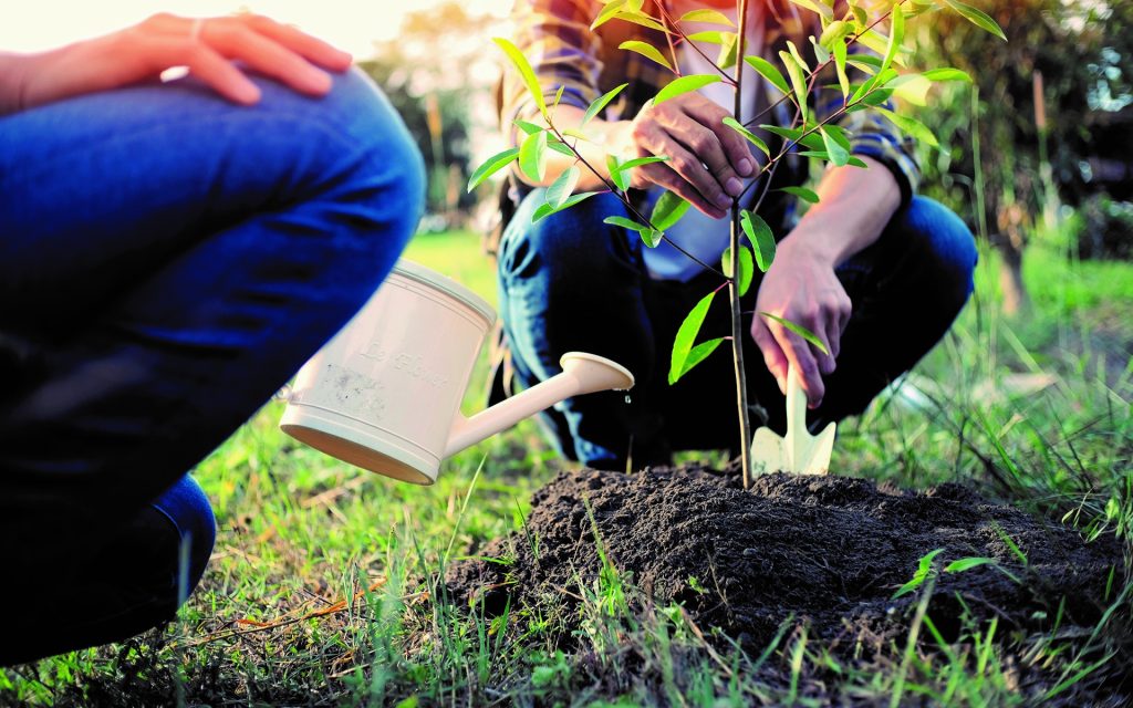 Jugend im Naturschutz und Beruf (JuNa-B): Beratung und Berufsorientierung im Grünen