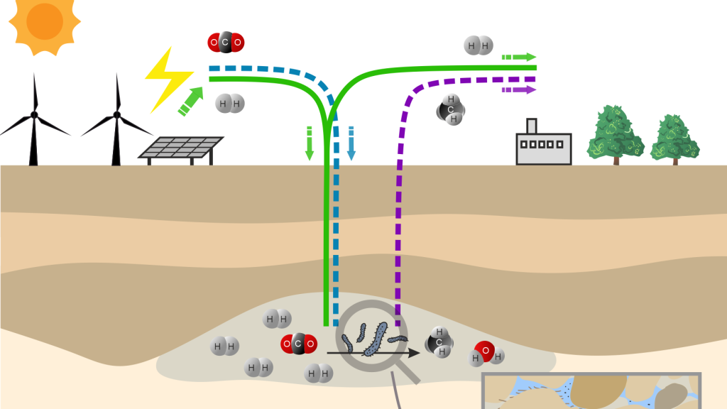 IMAGE: Investigating Microbial Activities in GEological reservoirs in micromodels