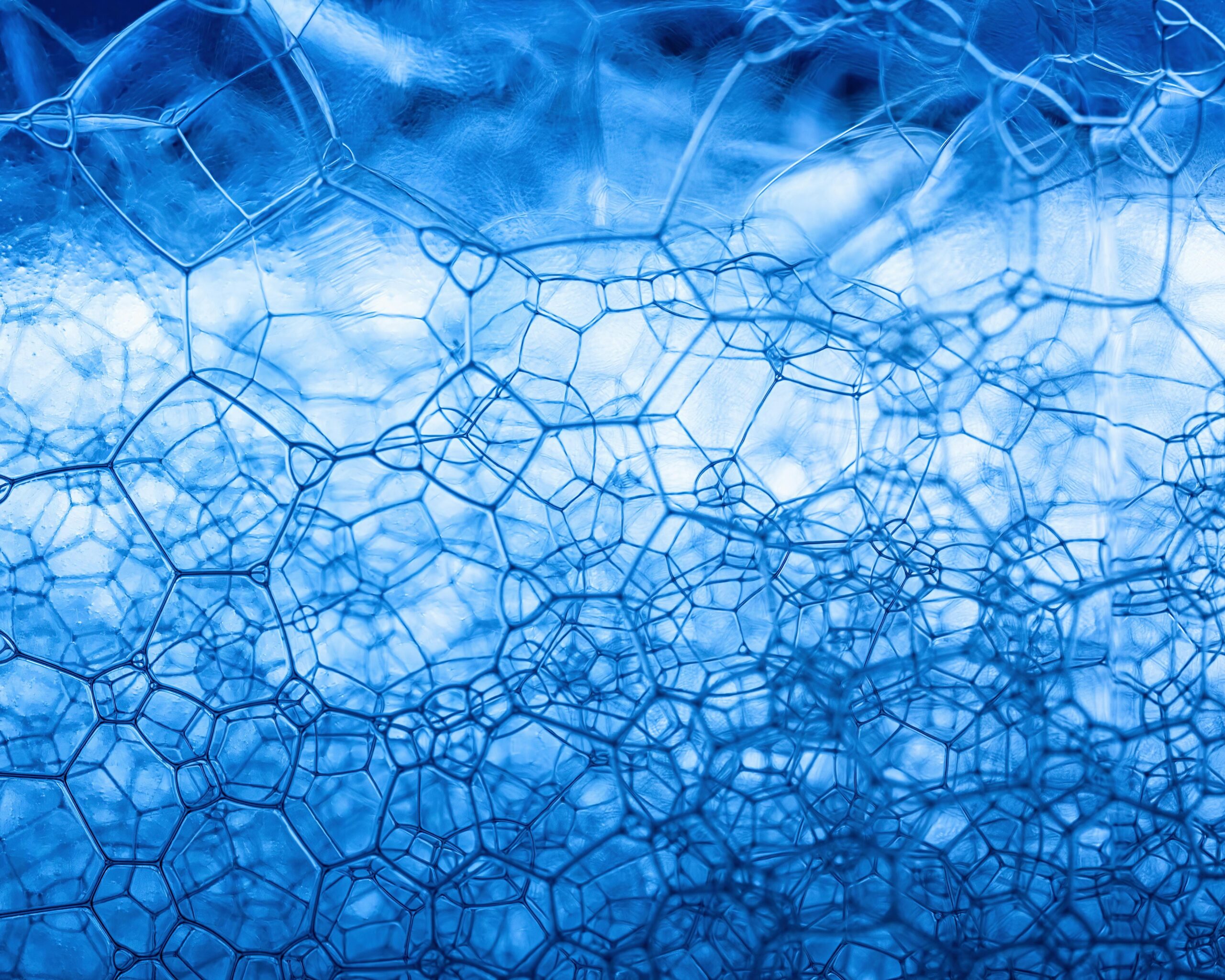 Sensor-Schäume ermöglichen schnellen Nachweis von Lebensmittelkontaminationen