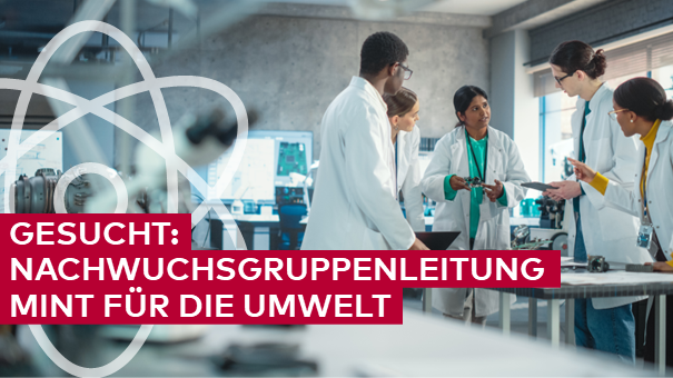 Bis zu 1,5 Mio. Euro für Nachwuchsforschende auf dem Weg zur Professur