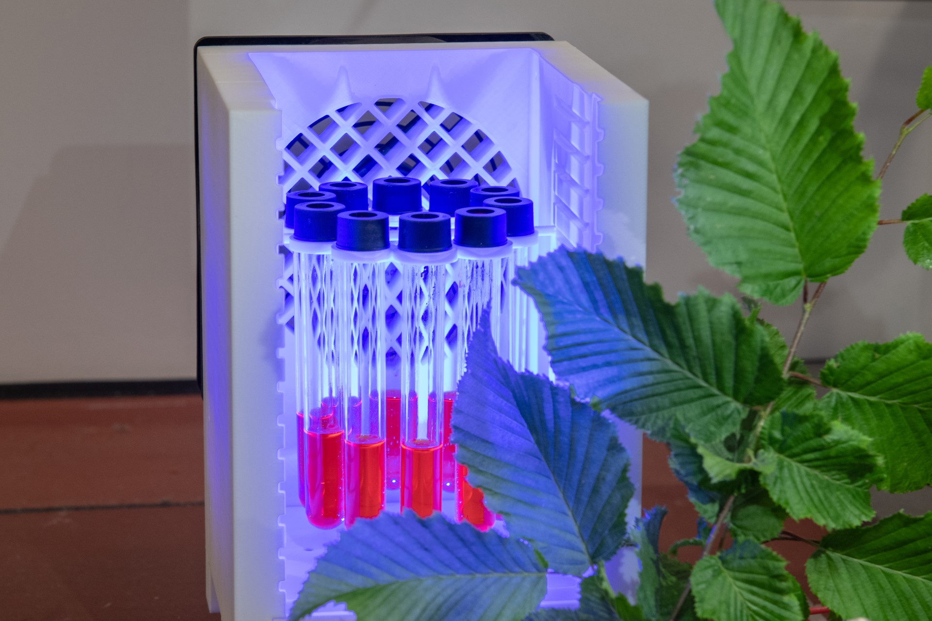 SolarDAC – a Light-driven Molecular Transport System for Direct Air Capture of CO2