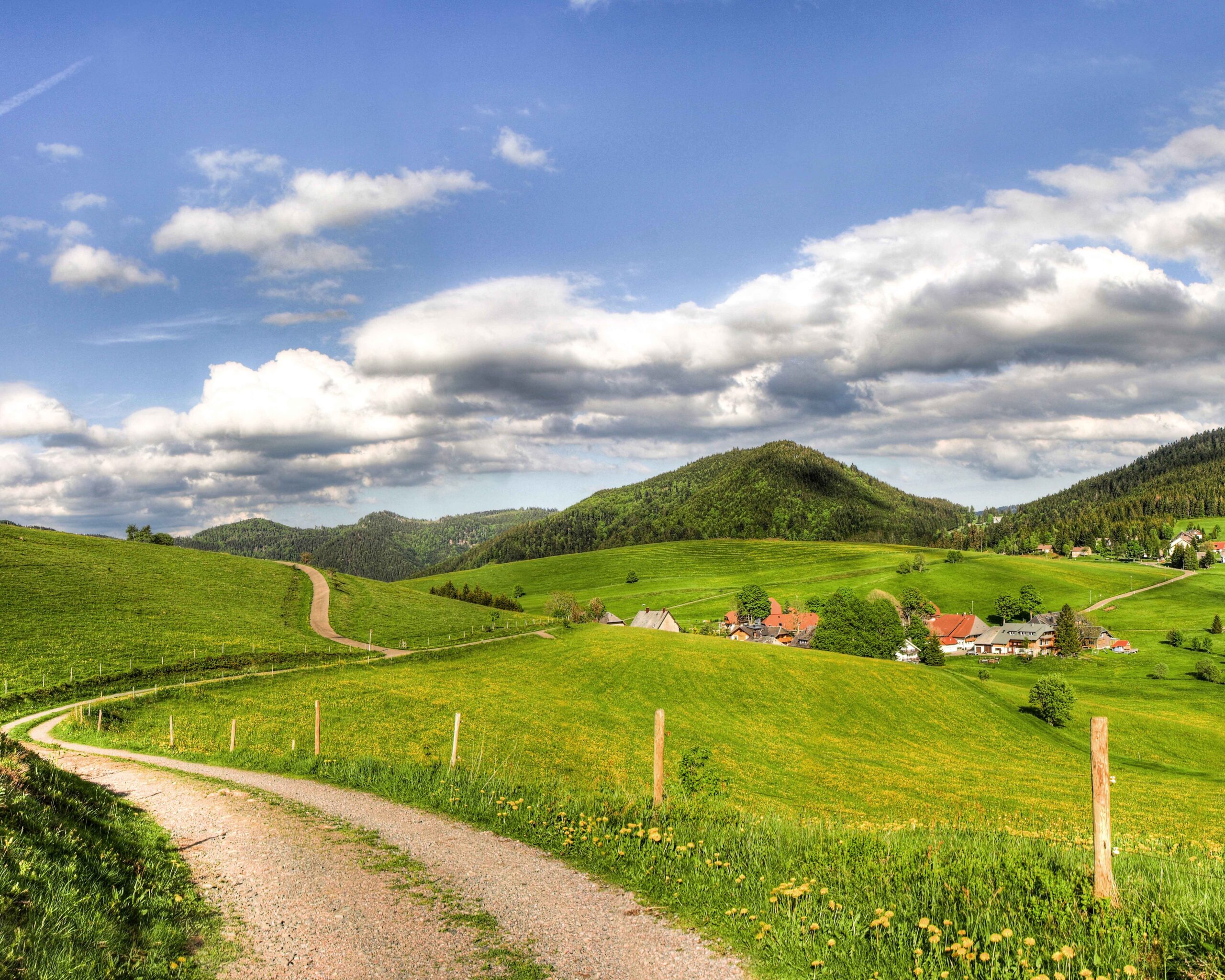 Projekt „Wasser-Boden-Agroforst“ im Südschwarzwald gestartet